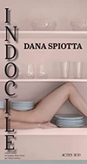 dana spiotta