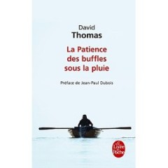 david thomas,humour désenchanté