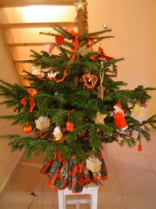 sapin2