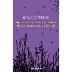 sylvain tesson